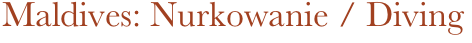 Maldives: Nurkowanie / Diving